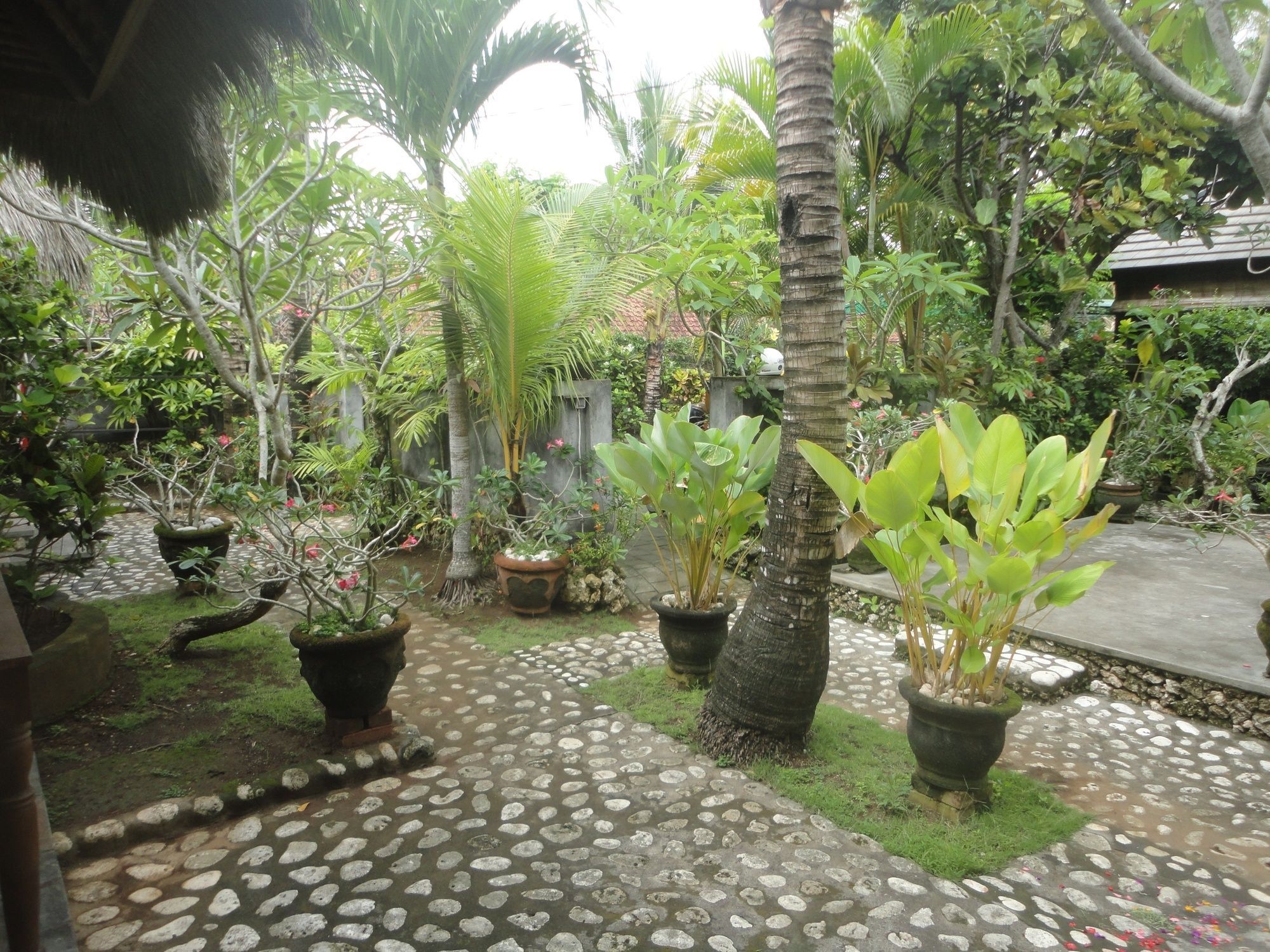Séjour chez l'habitant Indah Bingin